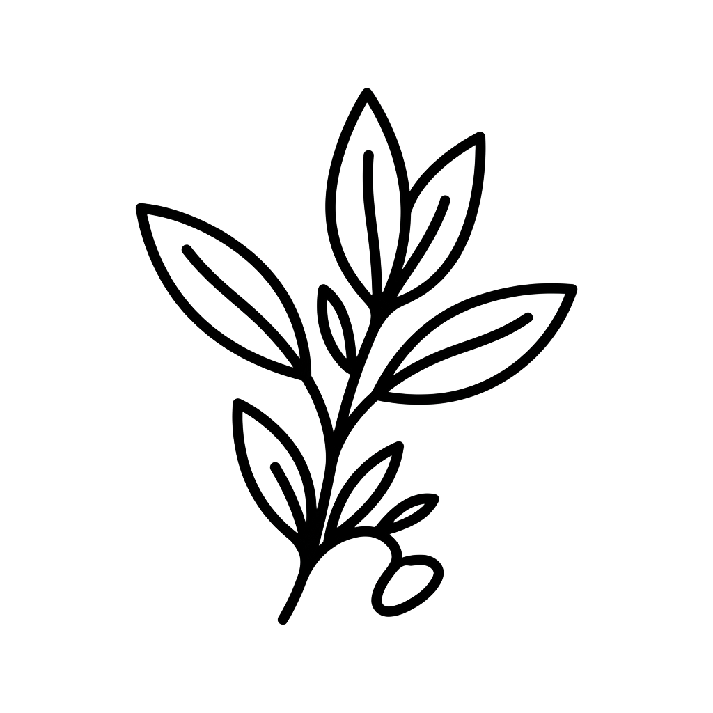 Thyme leaf from the Porch Thyme logo